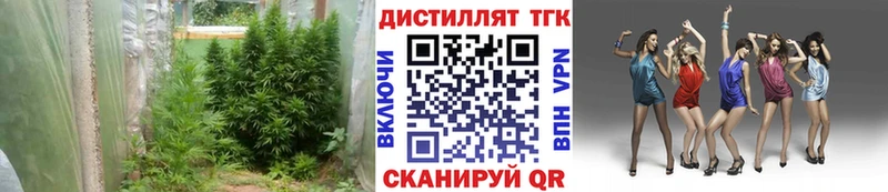 Дистиллят ТГК вейп с тгк  где купить наркотик  Новый Уренгой 
